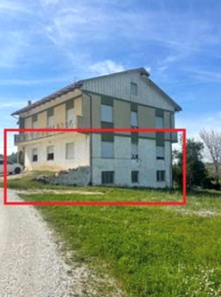 Foto annuncio 1