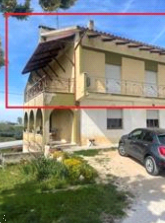 Foto annuncio 6