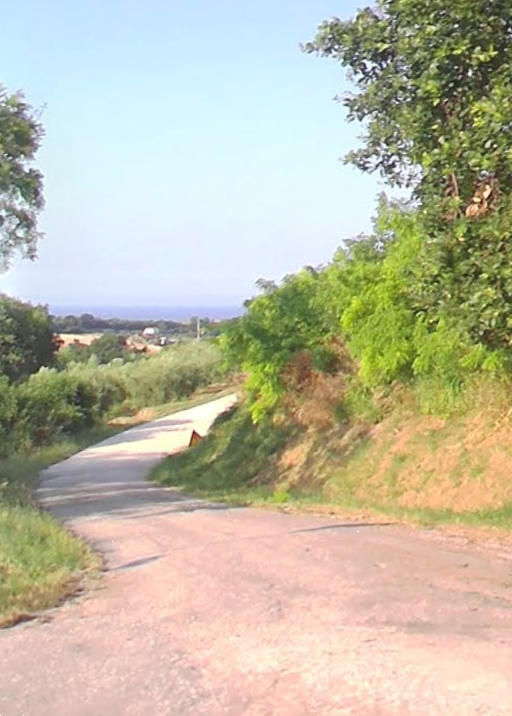 Foto annuncio 8