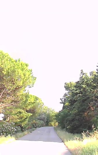 Foto annuncio 10