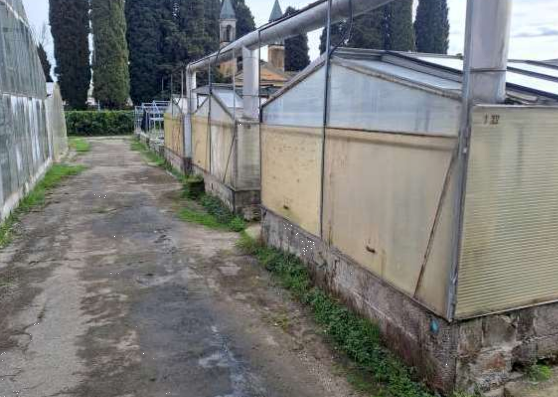 Foto annuncio 10