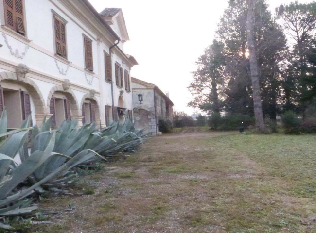 Foto annuncio 5