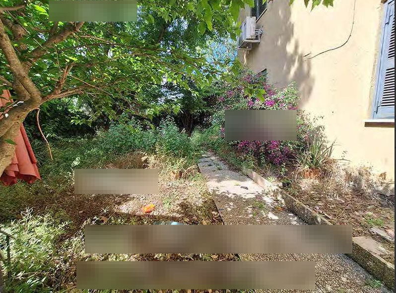 Foto annuncio 5