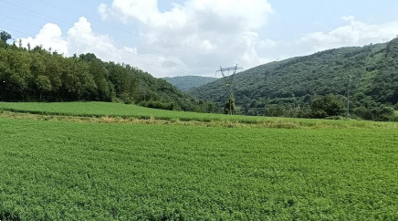 Foto annuncio 10