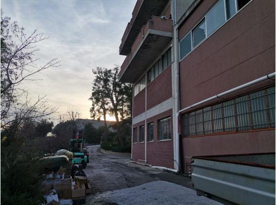 Foto annuncio 12