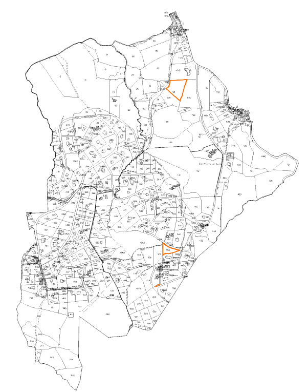 Foto annuncio 11