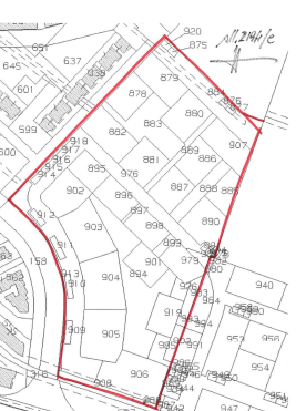 Foto annuncio 11