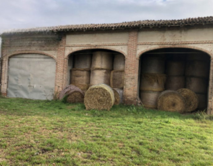 Foto annuncio 3