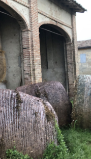 Foto annuncio 5