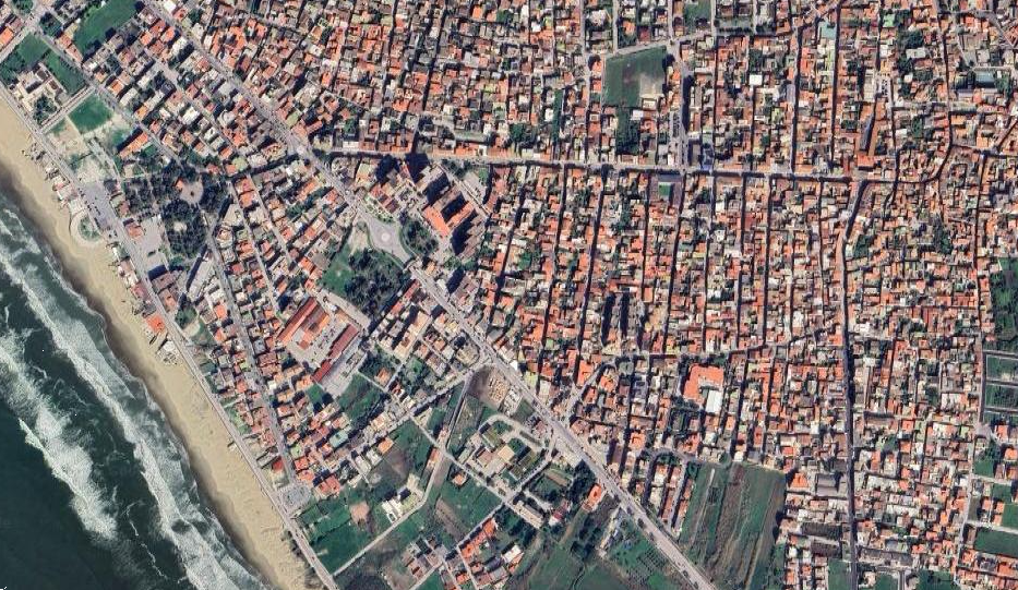Foto annuncio 9