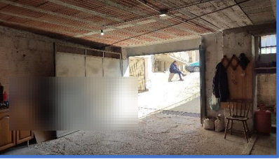 Foto annuncio 11
