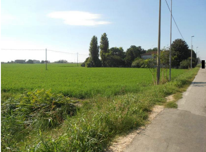 Foto annuncio 8