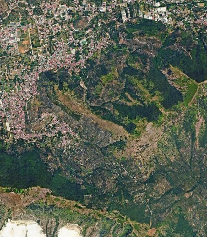 Foto annuncio 25