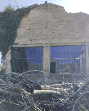 Foto annuncio 7