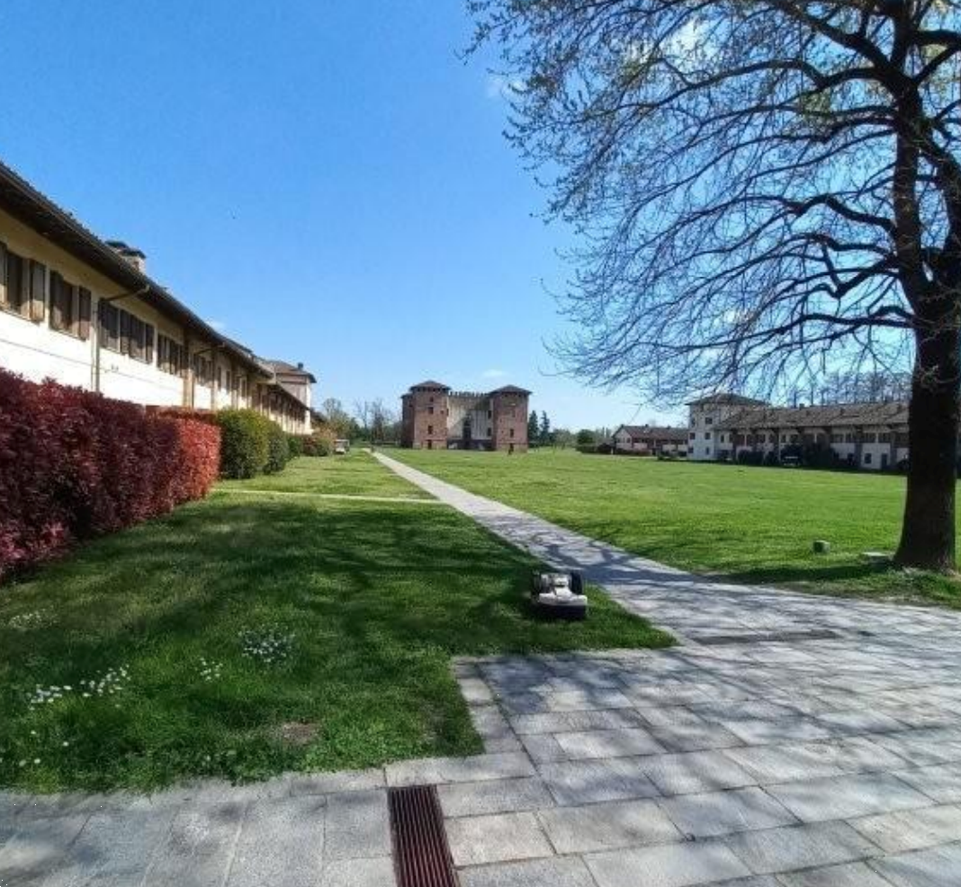 Foto annuncio 6