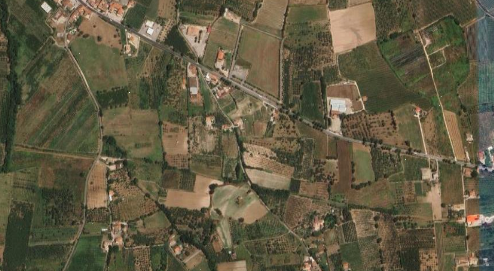 Foto annuncio 10