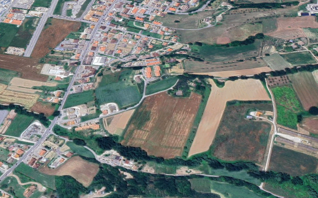 Foto annuncio 24