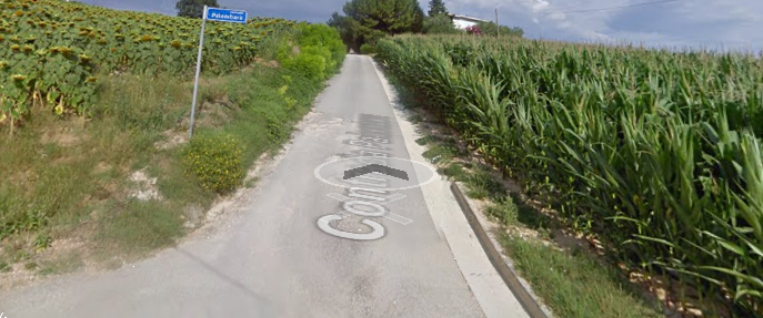 Foto annuncio 13