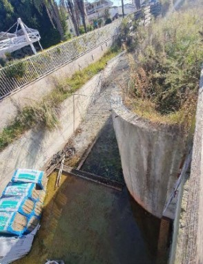 Foto annuncio 11