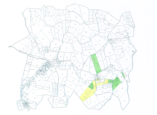 Foto annuncio 9