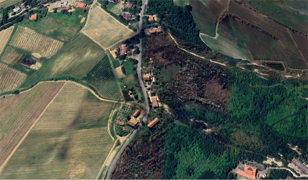 Foto annuncio 8