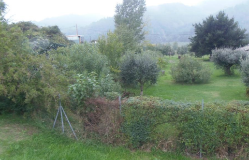Foto annuncio 10