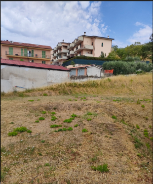 Foto annuncio 2