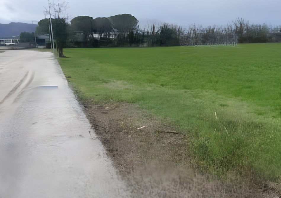 Foto annuncio 2