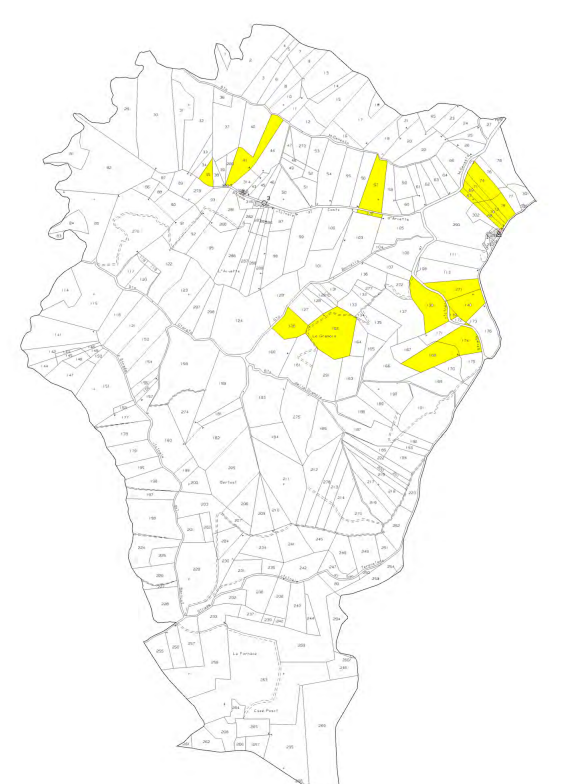 Foto annuncio 10