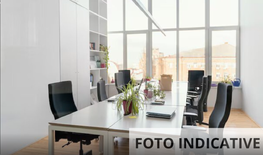 Foto annuncio 10