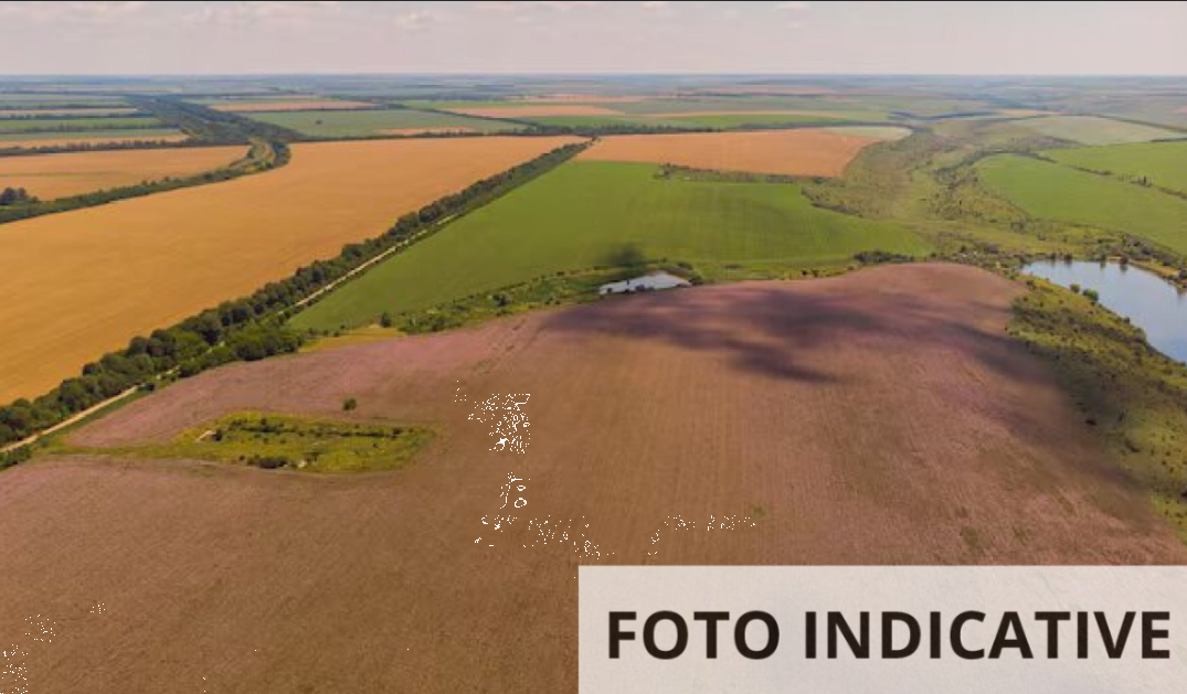 Foto annuncio 5