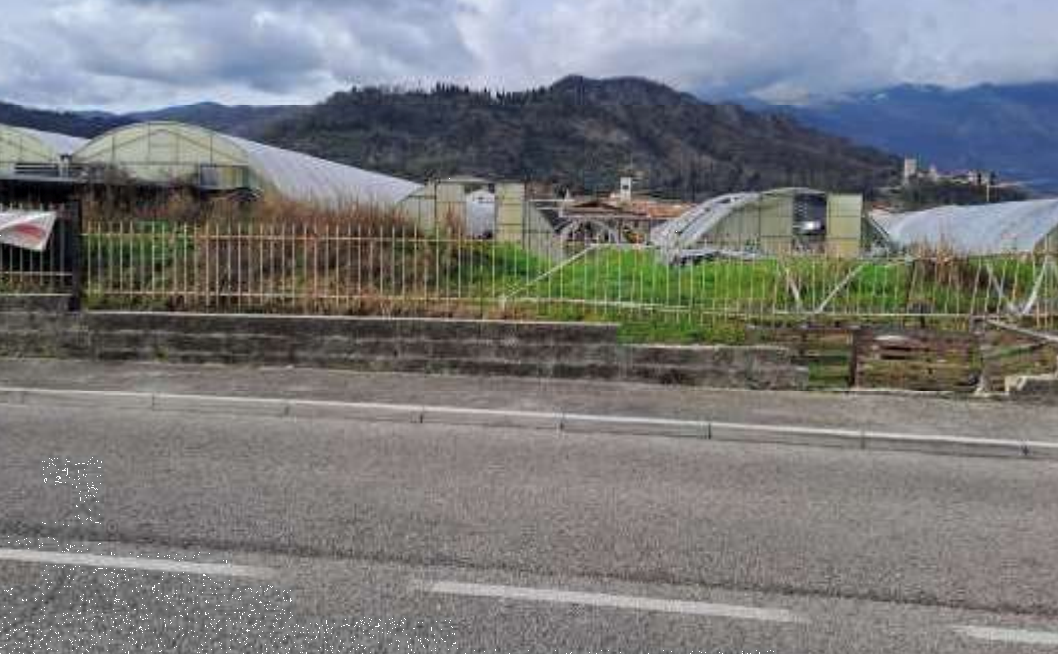 Foto annuncio 6