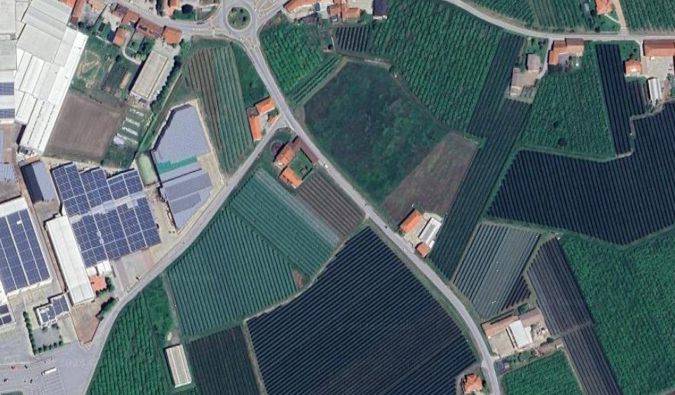 Foto annuncio 2