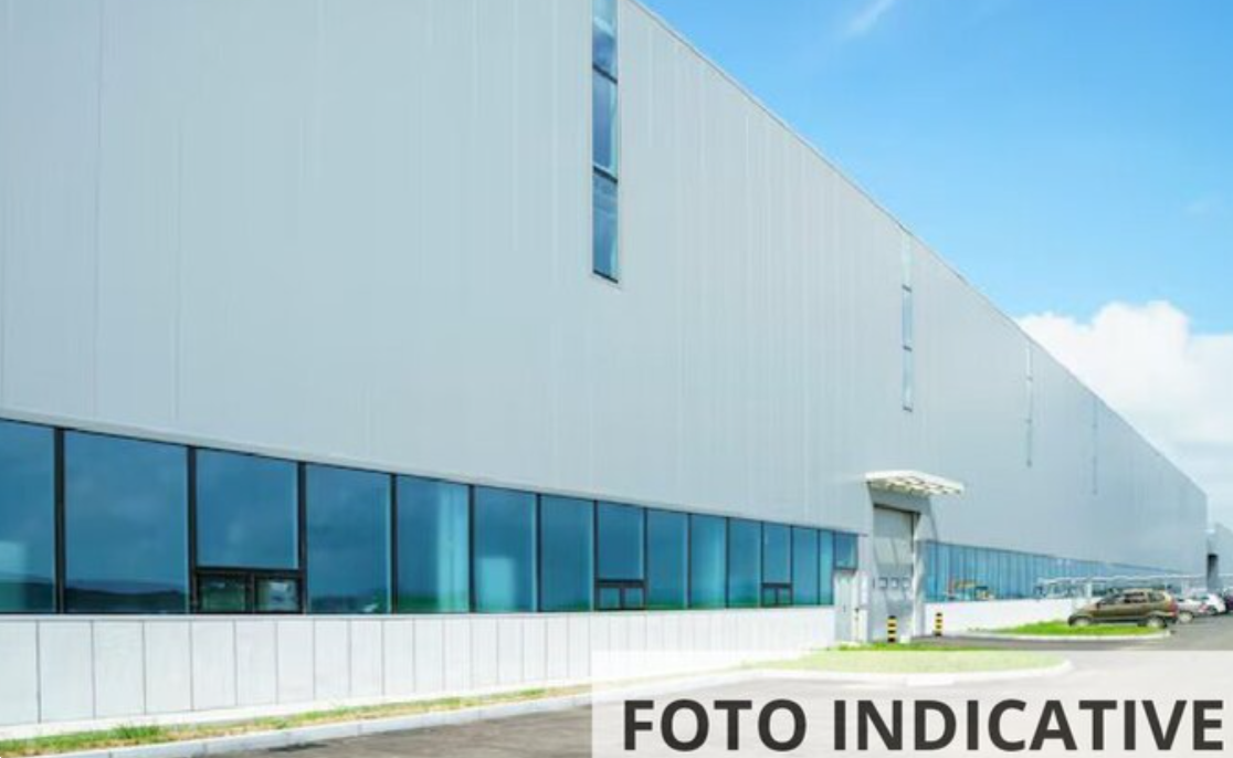 Foto annuncio 14