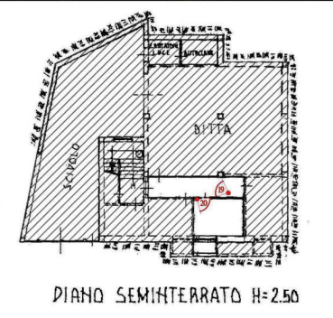 Foto annuncio 7