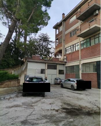 Foto annuncio 5