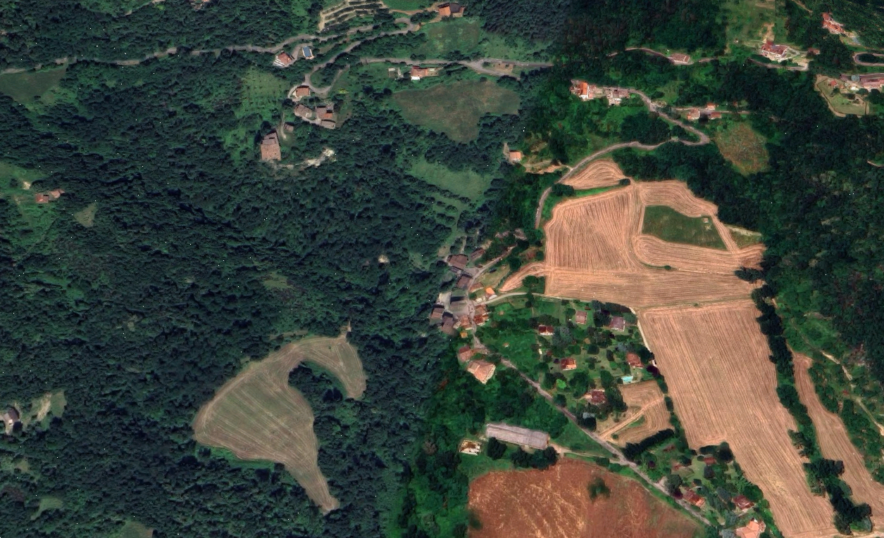 Foto annuncio 7