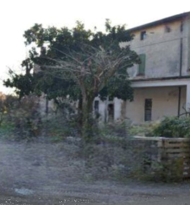 Foto annuncio 4
