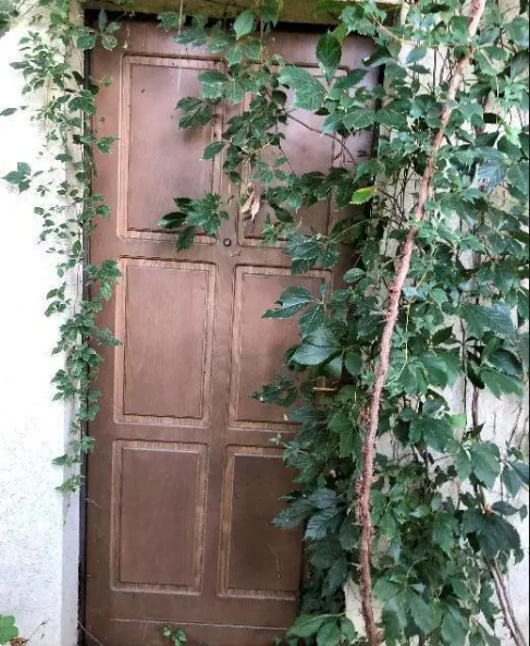 Foto annuncio 5