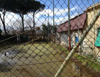 Foto annuncio 4
