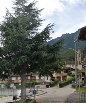 Foto annuncio 10