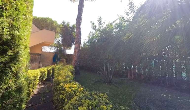 Foto annuncio 7