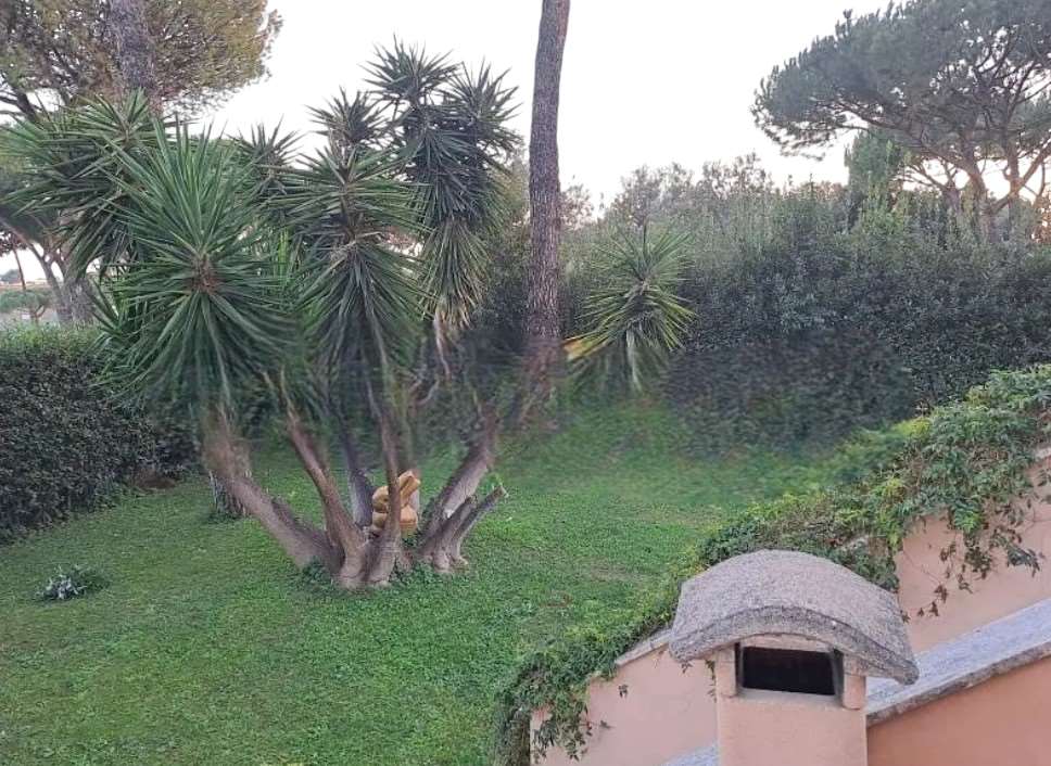 Foto annuncio 8