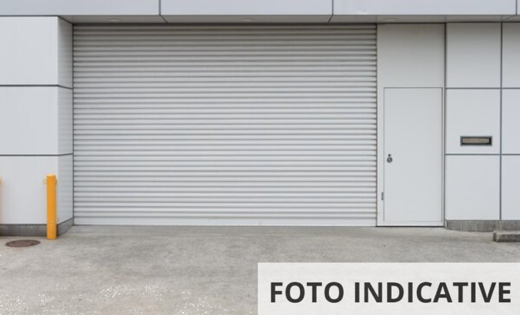 Foto annuncio 12