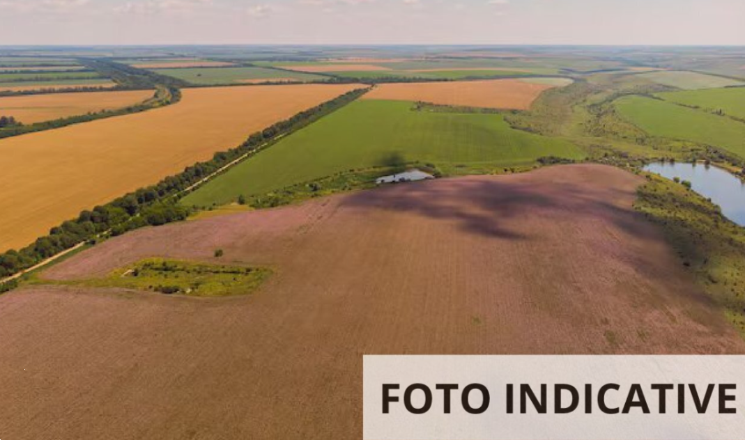 Foto annuncio 5