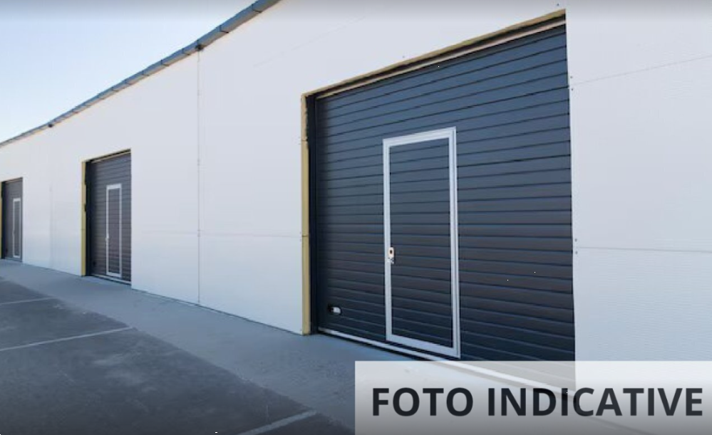 Foto annuncio 11