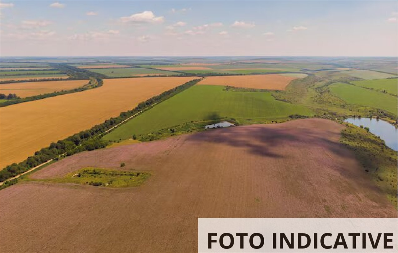 Foto annuncio 9