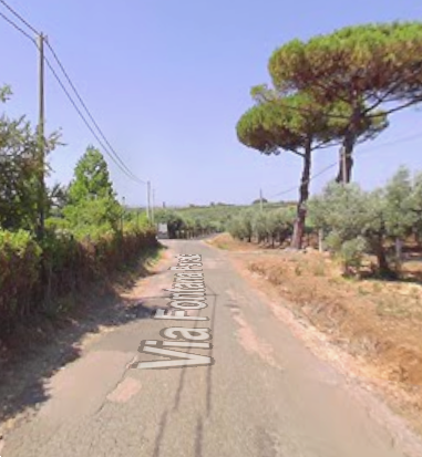 Foto annuncio 15