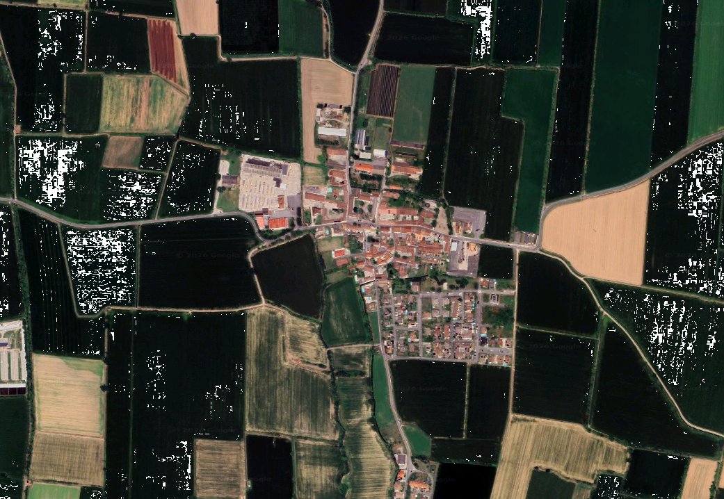 Foto annuncio 5