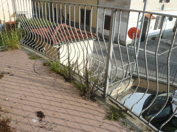 Foto annuncio 6